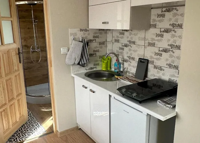 Wynajem Pokoi Goscinnych Jas I Malgosia Zakopane